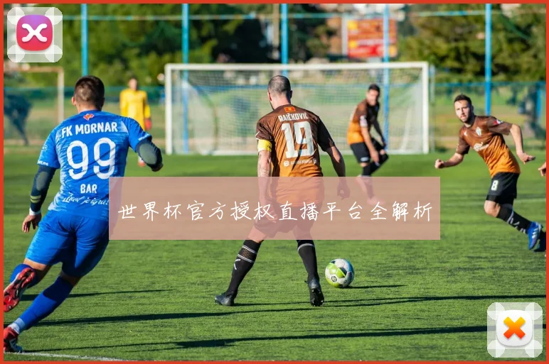 世界杯官方授权直播平台全解析