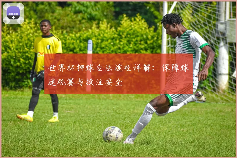 世界杯押球合法途径详解：保障球迷观赛与投注安全